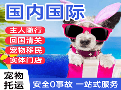 昌北空运代理国际宠物托运 【国